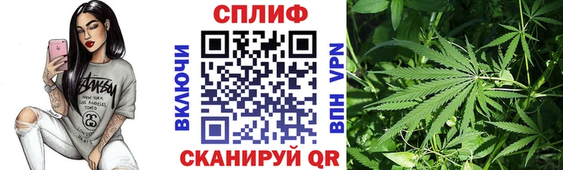 МАРИХУАНА план  Новотроицк 